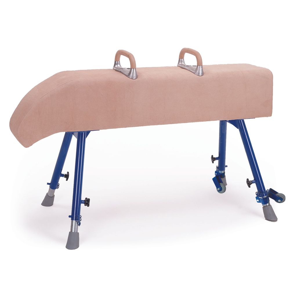 VAULTING HORSE