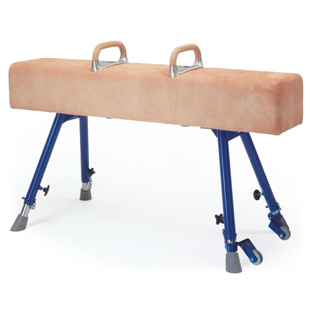 VAULTING HORSE