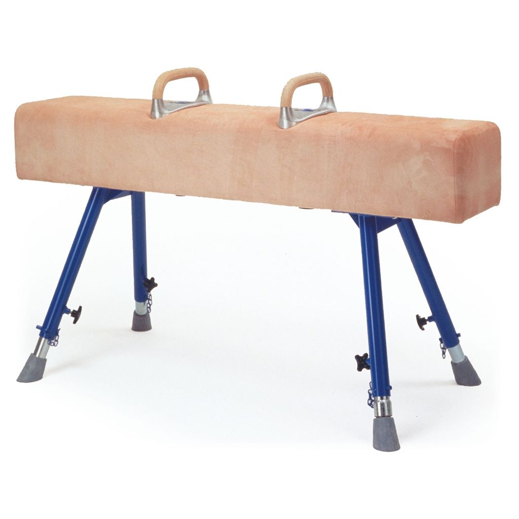 VAULTING HORSE