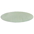 FERN OVAL RUG