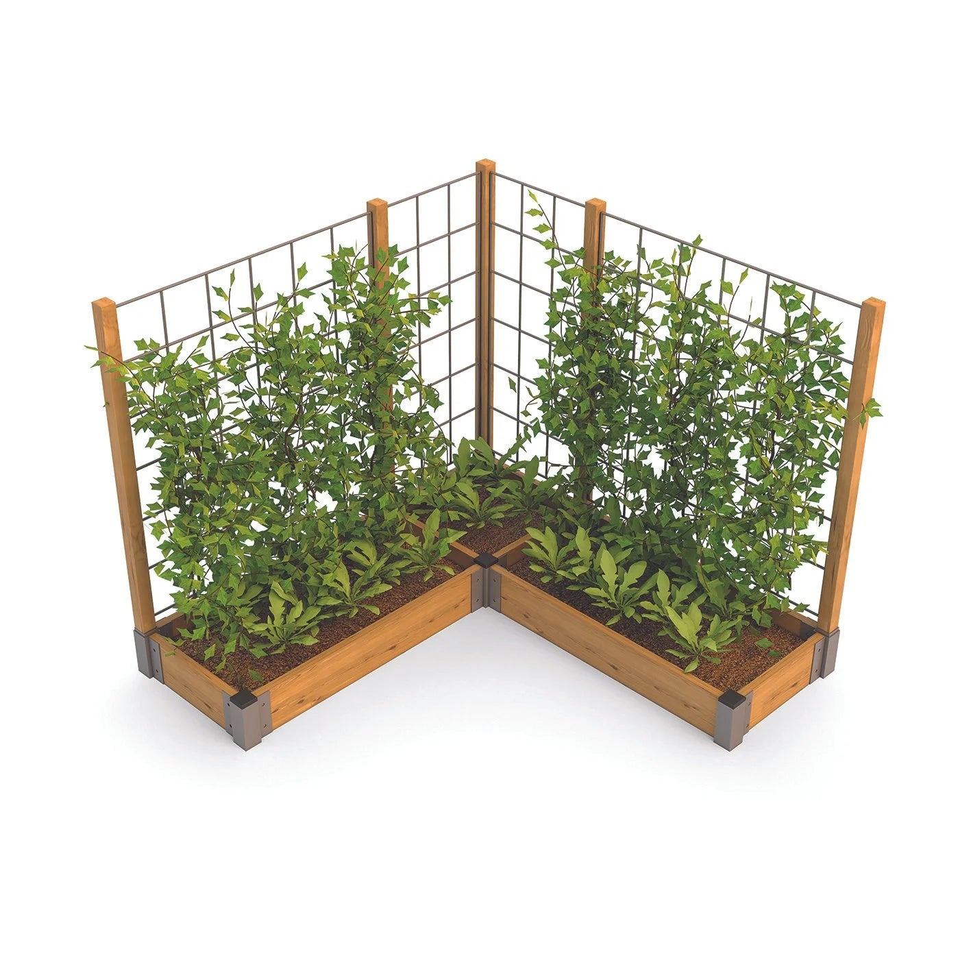 LITTLE GARDEN CORNER FENCE